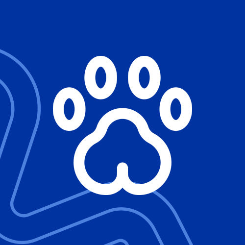 Pets