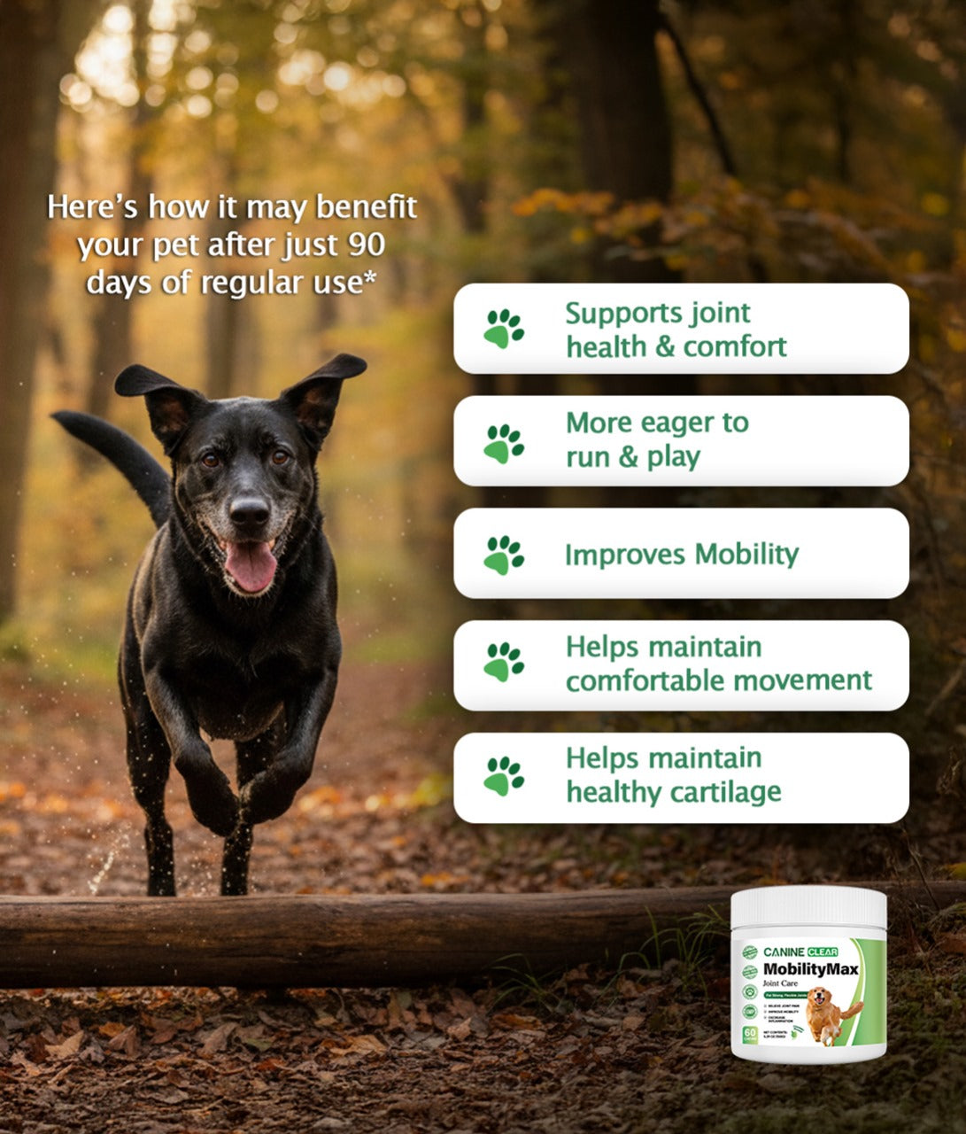 MobilityMax™ Plant-Powered Joint Chews